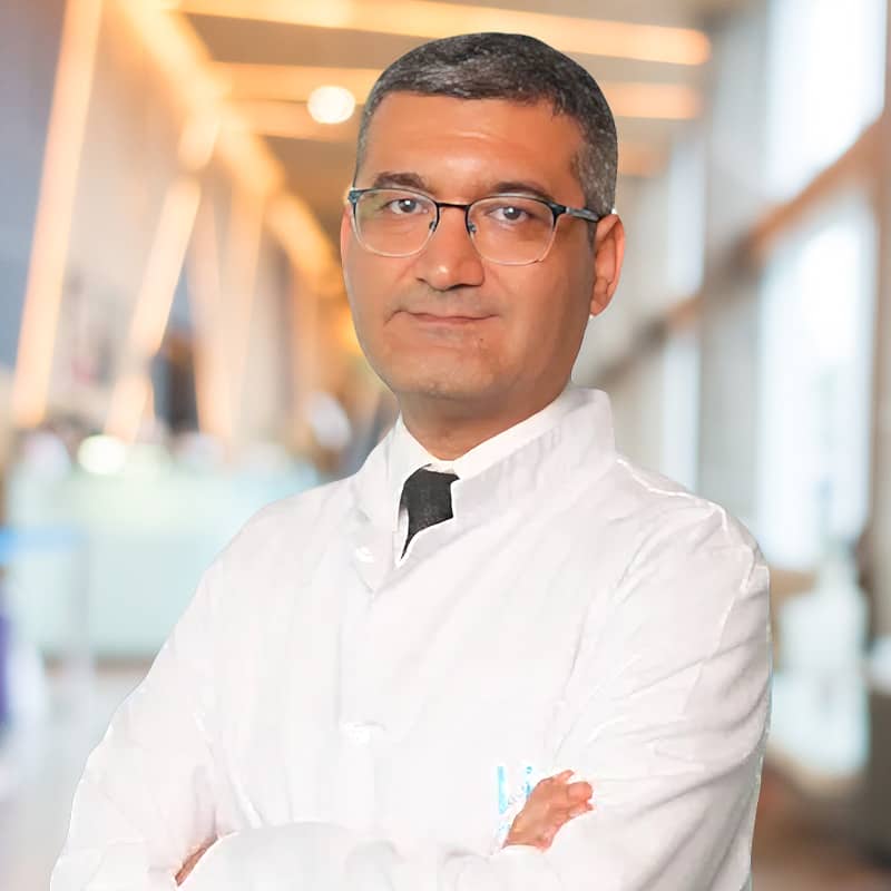 Проф. д-р Селчук Гюнеш вътре