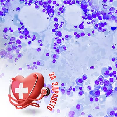 множественя миелом превю