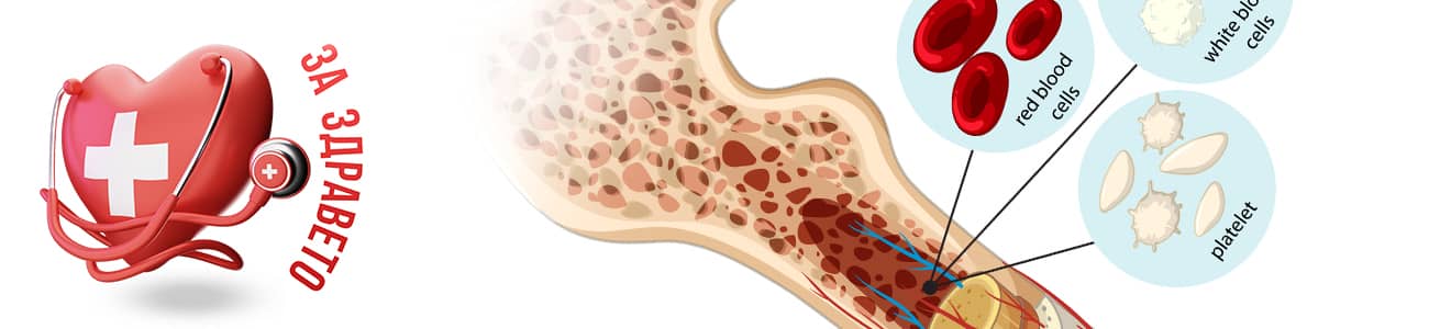 Костномозъчна трансплантация банер